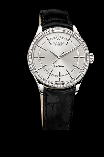 Rolex 50709rbr-0010 precio Cellini Time